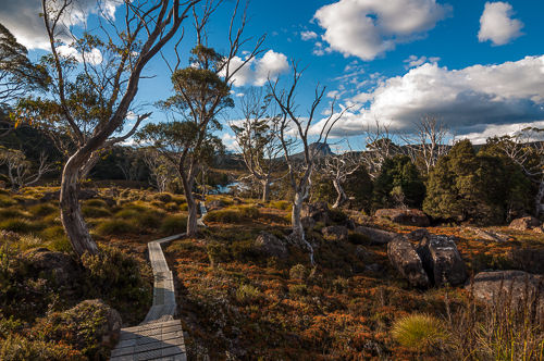 The Overland Track leads on narrow planks through amazingly picturesque country. Luckily, the weather was sunny and reasonably warm most of the days.